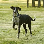 Bed and Breakfast Panorama 3*