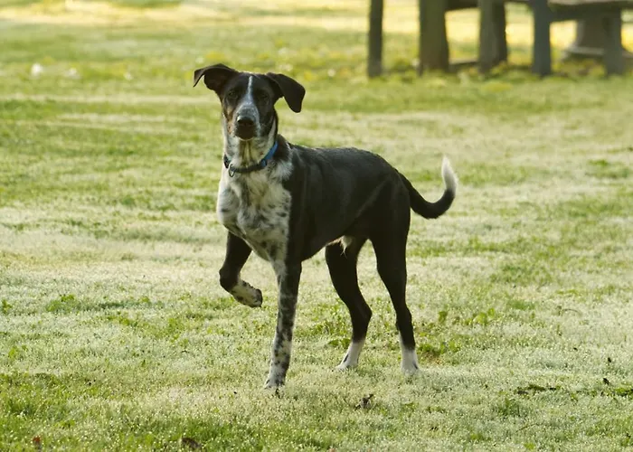 Bed & Breakfast Panorama 3*
