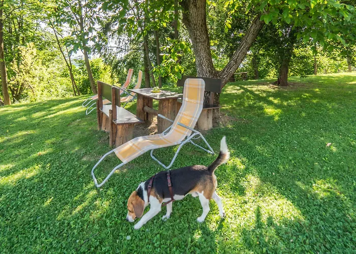 Panorama Bed & Breakfast