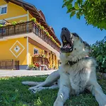 Bed & Breakfast Panorama Ptuj
