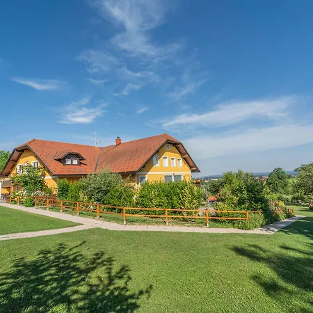 Panorama Ptuj