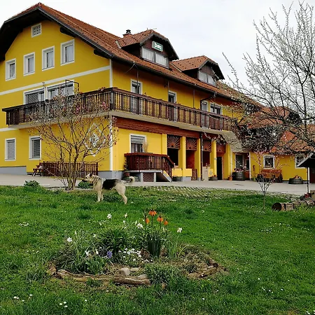 Panorama Ptuj