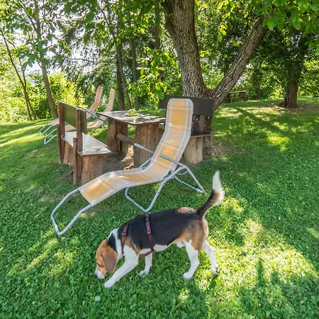 Panorama Bed & Breakfast