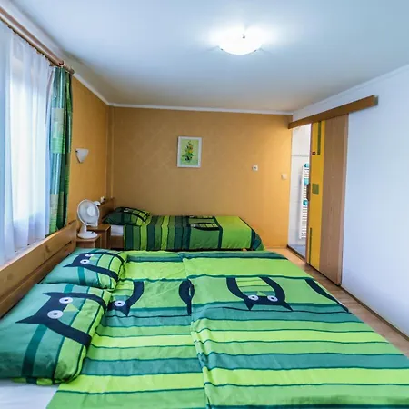 Panorama Ptuj