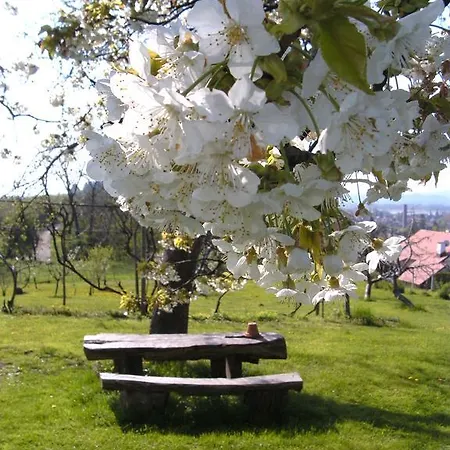 Bed & Breakfast Panorama Ptuj