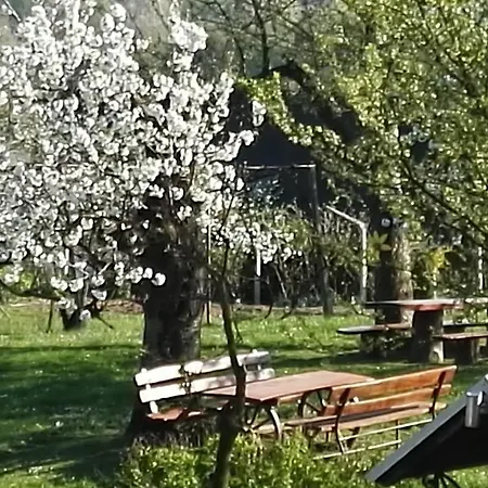 Panorama Bed & Breakfast 3*