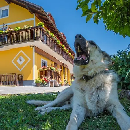 Oda ve Kahvaltı Panorama Ptuj