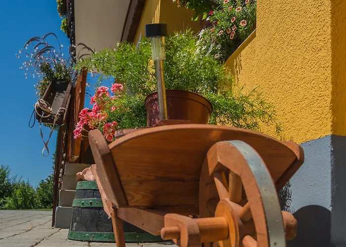 Panorama Bed and Breakfast Πτούι