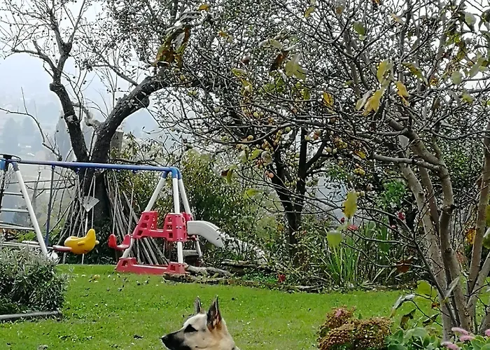 Panorama Bed and Breakfast Πτούι