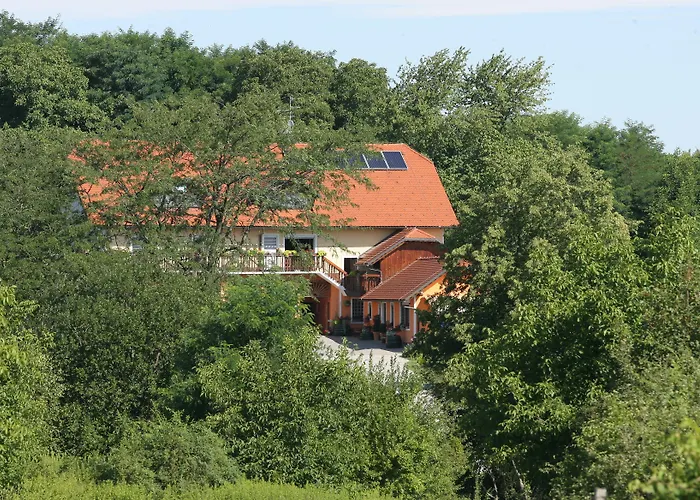 Panorama Bed and Breakfast Πτούι