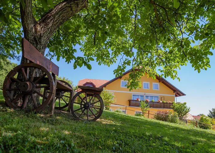 Bed and Breakfast Panorama