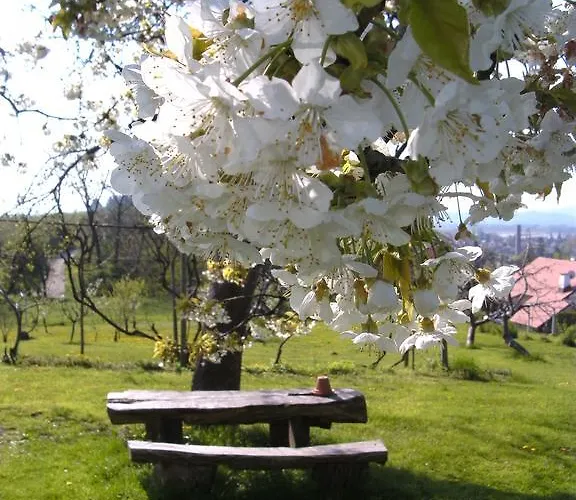 Bed and Breakfast Panorama Πτούι