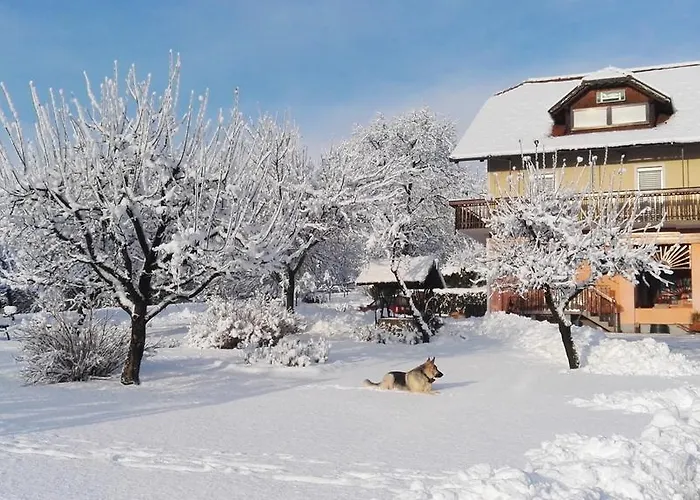 Panorama Bed and Breakfast 3*