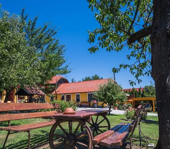 Panorama Bed and Breakfast Πτούι